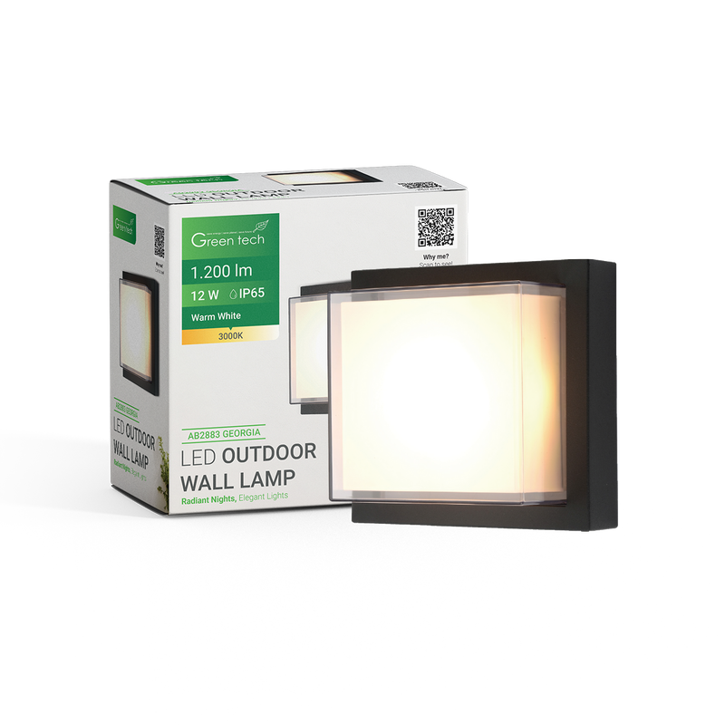 GREEN TECH LED vanjska zidna svjetiljka Green Tech GEORGIA, 12W, 3000K, IP65 - AB2883