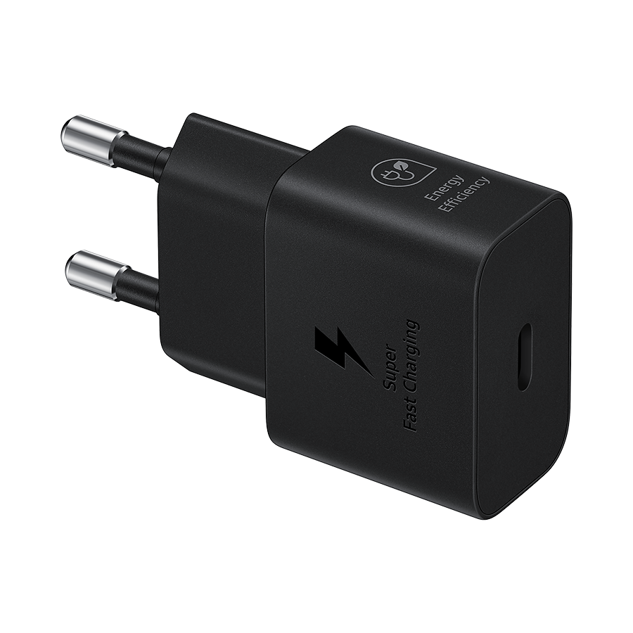 Punjač SAMSUNG ORG. 25W Super Fast Charging Type-C Wall Charger Black EP-T2510NBEGEU