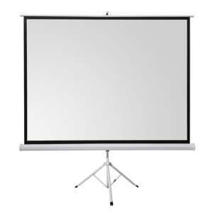 Platno za projektor na stalku tripodu Everest TPP-200 200x200cm, 40674