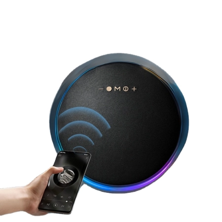 BORG Zvučnik LP19 Bluetooth RGB Black - Image 3