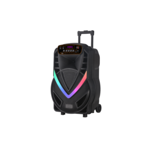 OEM Zvučnik NDR-V12 (FM/USB/TF/bluetooth/TWS/EQ) 12" karaoke s wireless mikrofonom