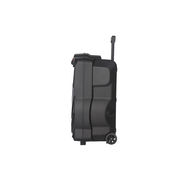 OEM Zvučnik NDR-V12 (FM/USB/TF/bluetooth/TWS/EQ) 12" karaoke s wireless mikrofonom - Image 3