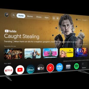 TESLA TV QLED Q85E965GUS UHD QLED Google TV-DLG 120Hz 2x12W Box Zvucnici
